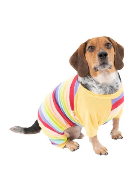 Leveret Dog Cotton Striped Matching Family Holiday Pajamas In Colorful Girls