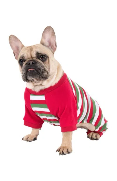 Leveret Dog Cotton Striped Matching Family Holiday Pajamas In Red White & Green