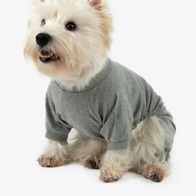Leveret Dogs Solid Color Light Grey Pajamas