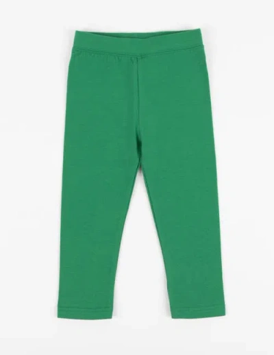 Leveret Kids'  Girls Cotton Leggings, Solid Colors In Green