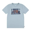 Levi 's Big Kid Boys Crew Neck Short Sleeve Regular Fit Graphic T-shirt In Green