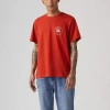 Levi 's Mens Relaxed Fit Graphic Short Sleeve T-shirt In Red