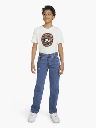 Levi's 501 Original Jeans Big Boys 8-20 20 In Blue