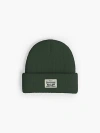 Levi's Backpatch Beanie In Green