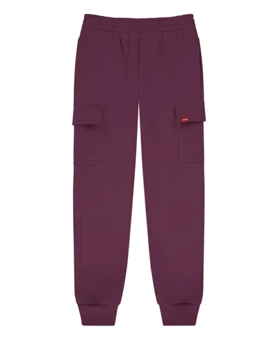 Levi's Kids' Big Boys Knit Cargo Jogger In Chocolate Truffle