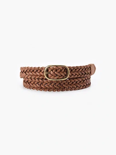 Levi's Charlie Braided Belt With Gold Buckle In Brown