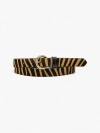 Levi's Larkspur Variation Belt