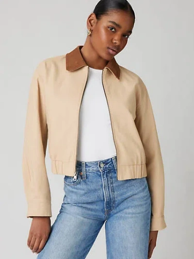 Levi's Laydown Collar Jacket In Black