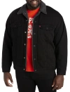 Levi's Big & Tall Faux Shearling Trucker Jacket In Duvall Trucker