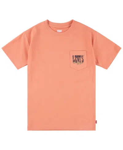Levi's Kids' Little Boys Canyon Landscape T-shirt In Tawny Orange
