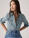 Levi's Original Trucker Jacket In All Mine