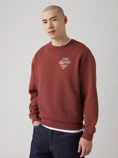 Levi's Relaxed Graphic Crewneck Sweatshirt In Andorra