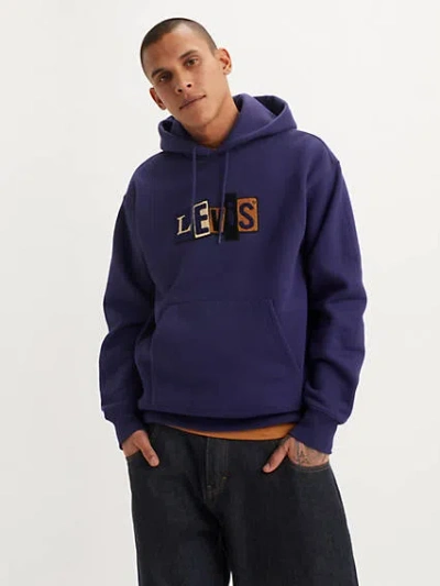 Levi's Skateboarding Hooded Sweatshirt In Chenille Patch