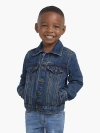 Levi's Trucker Jacket Toddler Boys 2t-4t 3t In Providence