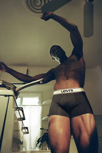 Levi's Vintage Heather Organic Cotton Boxer Brief 2 Pack In Brown