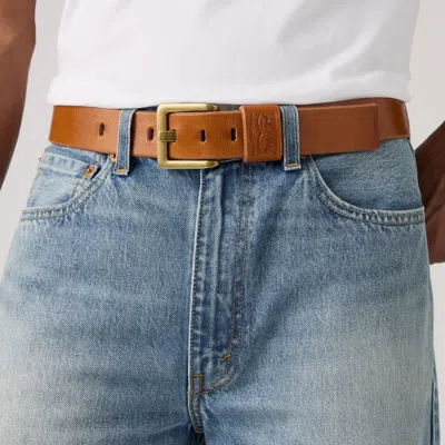 Levi's Arlo Wide Prong Belt In Brown
