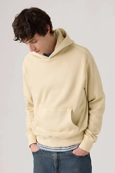 Levi's Authentic Hoodie