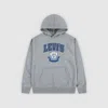 Levi's Authentic Prep Hoodie Little Boys 4-6x 7 In Gray