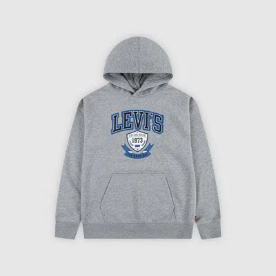 Levi's Authentic Prep Hoodie Little Boys 4-6x 7 In Gray