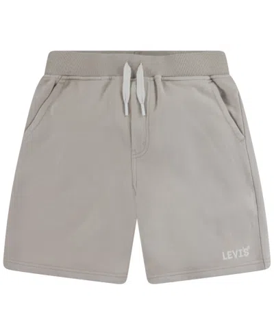 Levi's Kids' Big Boys Lived In Shorts In Gray