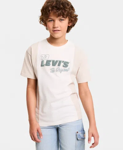 Levi's Kids' Boys 8-20 Fast Lane Tee In Brown