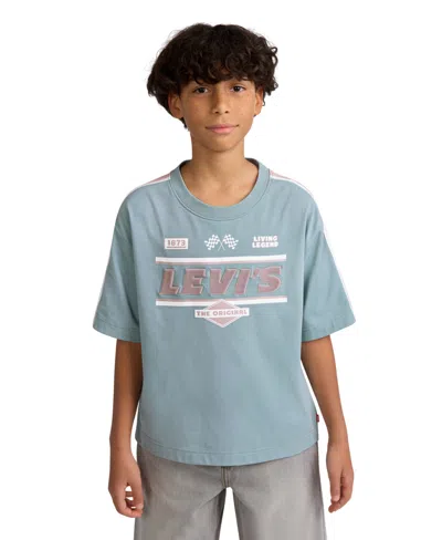 Levi's Kids' Boys' 8-20 Homestretch Short-sleeve T-shirt In Gray