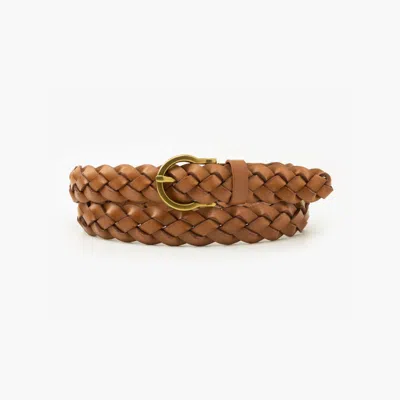 Levi's Braid Belt In Brown