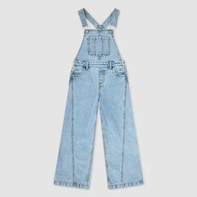 Levi's Cargo Overalls Toddler Girls 2t-4t 2t In Far And Wide