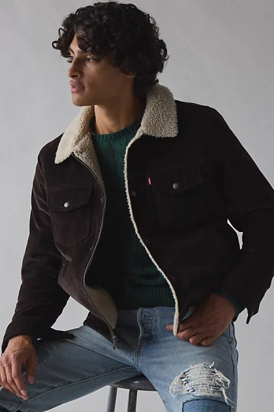 Levi's Corduroy Jacket In Chocolate Brown, Men's At Urban Outfitters