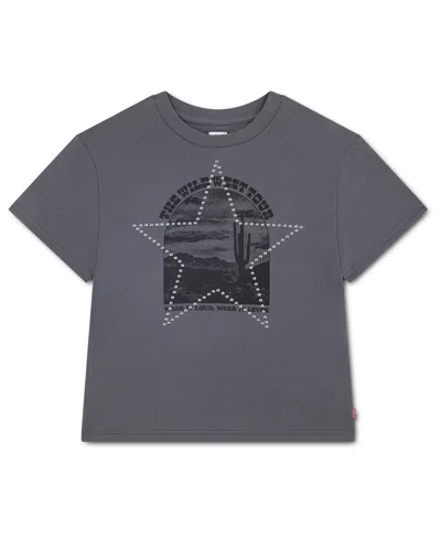Levi's Kids' Girls' 7-16 Wild West Oversized T-shirt In Gray