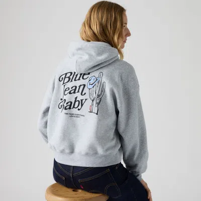 Levi's Graphic Everyday Hoodie In Grey