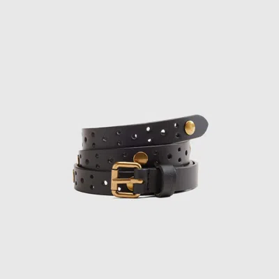 Levi's Harper Studded Belt In Black