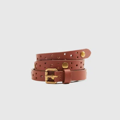 Levi's Harper Studded Belt In Brown