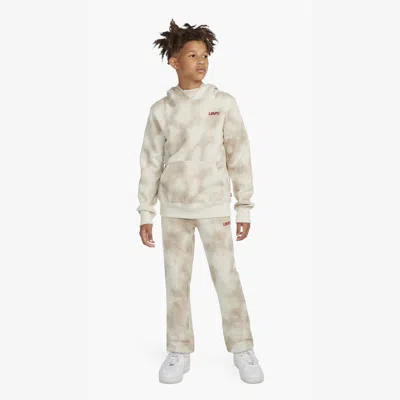 Levi's Haze Effect Logo Hoodie Big Boys 8-20 L In Neutral