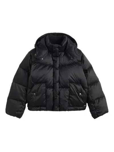 Levi's Hooded Bubble Jacket In Black