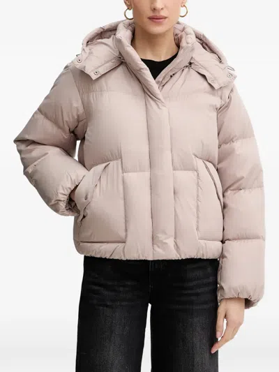 Levi's Hooded Puffer Jacket In Pink