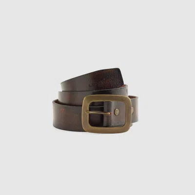 Levi's Jordan Belt In Brown