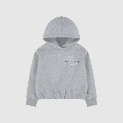 Levi's Kids Meet And Greet Bubble Hoodie In Grey