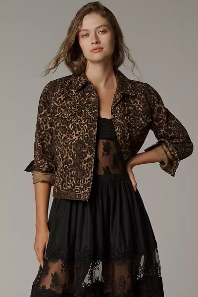 Levi's Leopard Original Trucker Jacket In Brown