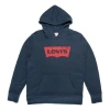 Levi's Graphic Hoodie 'blue'