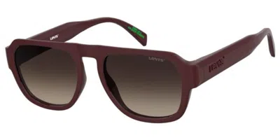 Levi's Lv 1100/s Lhf/ha Occhiali Da Sole Borgogna Per Uomo In Burgundy