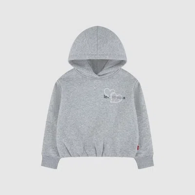 Levi's Meet And Greet Bubble Hoodie Little Girls 4-6x 4 In Gray