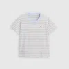 Levi's Perfect T-shirt (plus Size) In Multi