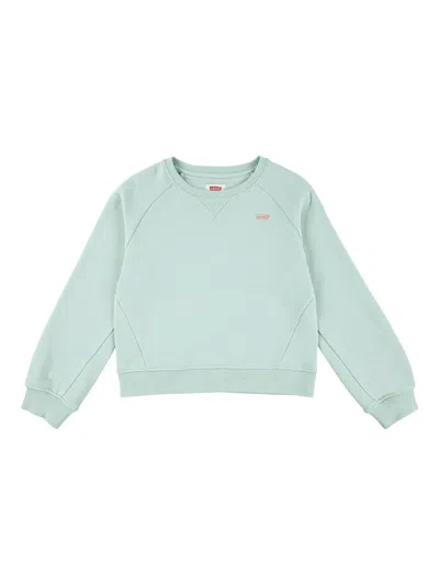 Levi's Kids' Raglan-sleeve Sweatshirt