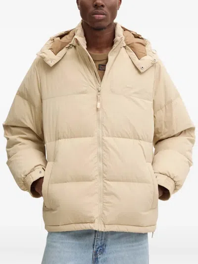 Levi's Rockridge Hooded Puffer Jacket In Neutral