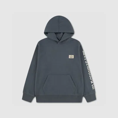 Levi's Sleeve Hit Hoodie Little Boys 4-7 4 In Dark Slate