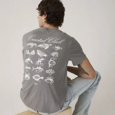 Levi's Standard Fit Classic Graphic T-shirt In Gray