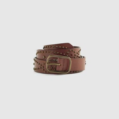 Levi's Studded Western Belt In Brown