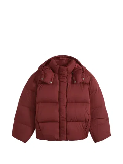 Levi's Tate Bubble Puffer Jacket In Brown