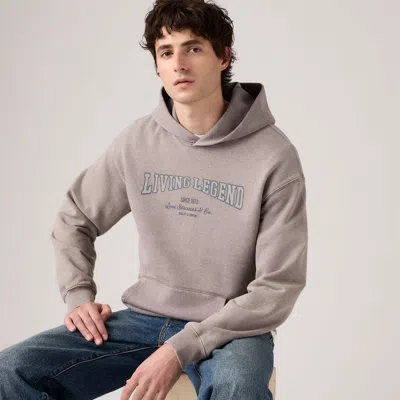 Levi's Two Horse Boxy Cropped Hoodie Sweatshirt In Neutral